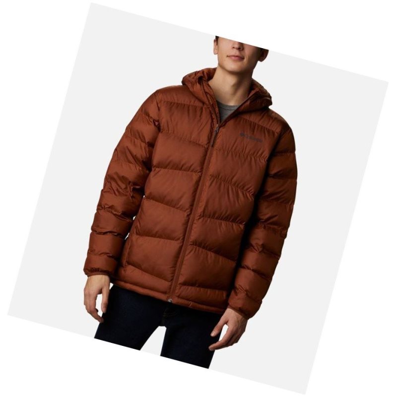 Kurtki Columbia Fivemile Butte Hooded Męskie Brązowe | 78ZJYUOPK