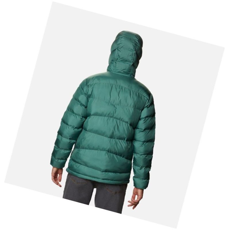 Kurtki Columbia Fivemile Butte Hooded Męskie Zielone | 40UKGLJOY