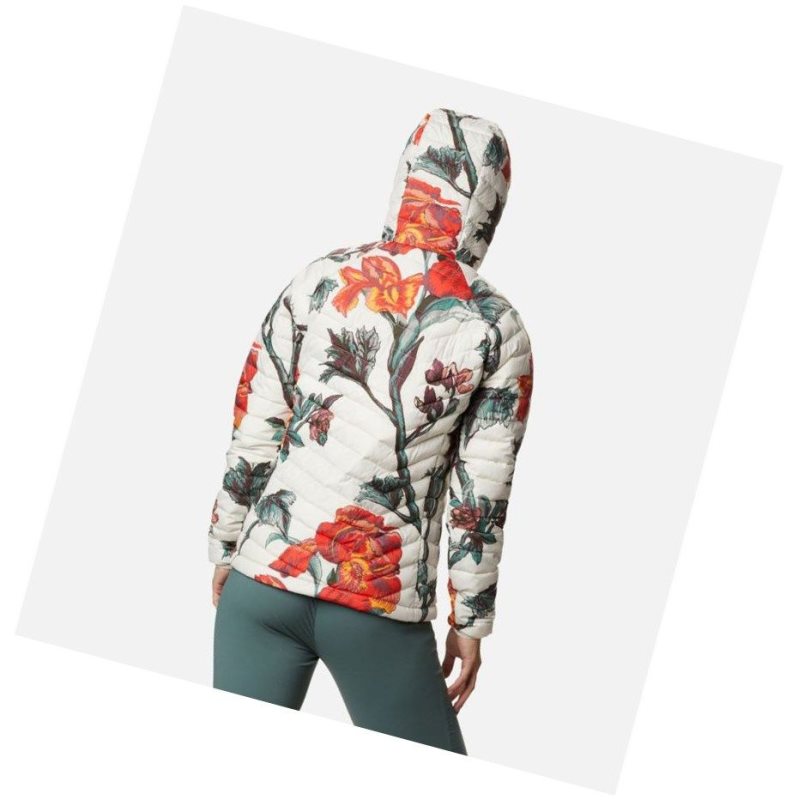 Kurtki Columbia Powder Lite Hooded Damskie Brązowe | 75BXRUWVJ