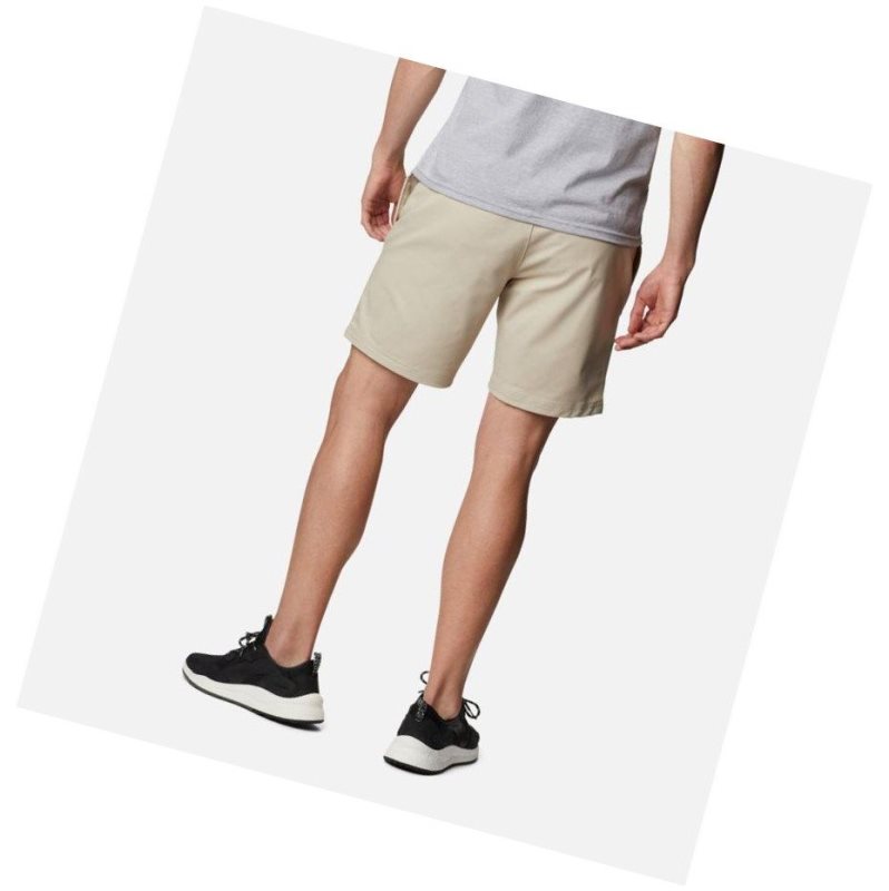 Spodenki Columbia Shale Trail Short Męskie Khaki | 42PKQJZDW