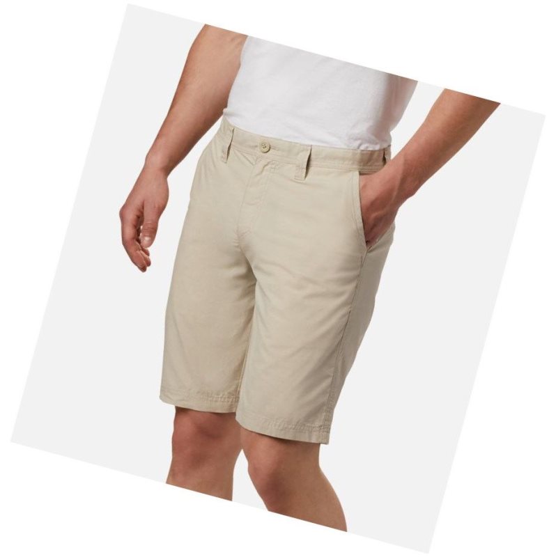 Spodenki Columbia Washed Out Big Męskie Khaki | 54KUNSIJD