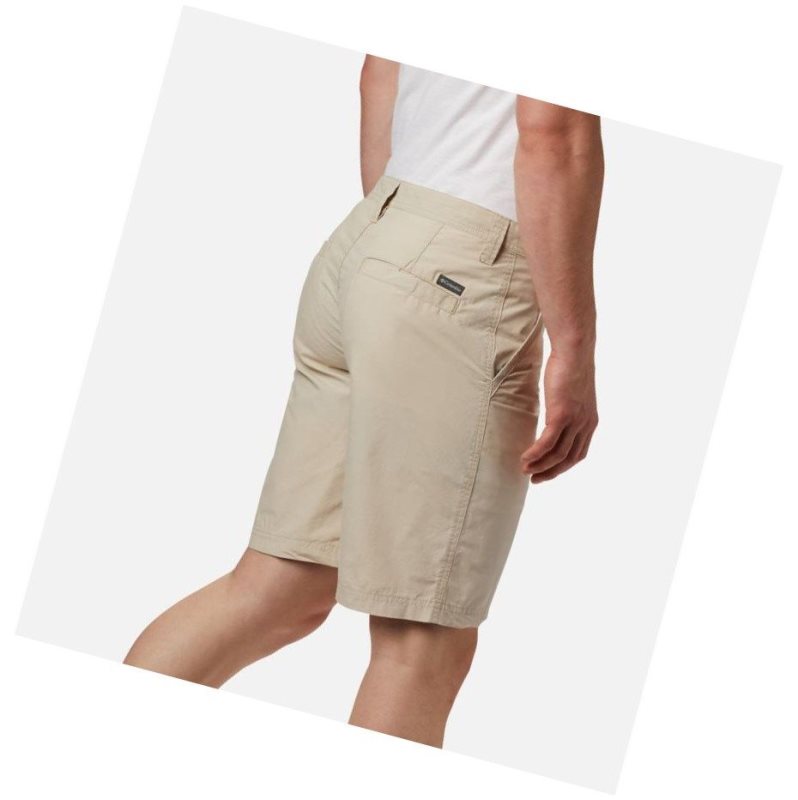 Spodenki Columbia Washed Out Big Męskie Khaki | 54KUNSIJD