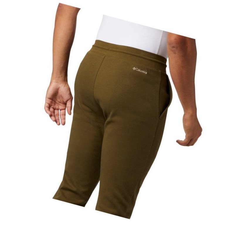 Spodnie Columbia Lodge Double Knit Jogger Męskie Oliwkowe | 03QZMXEOR