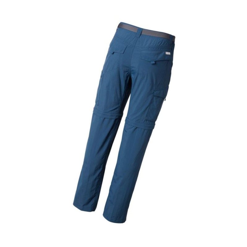 Spodnie Columbia Silver Ridge Convertible Pant Męskie Niebieskie | 63FNSTGCQ